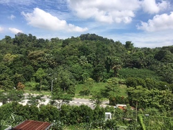 The Skywoods (D23), Condominium #162551892